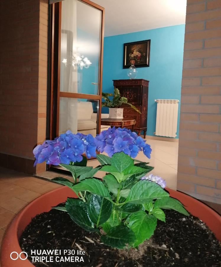 B&Byanet'S Beautiful House Civitavecchia Zewnętrze zdjęcie
